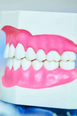 Adult teeth grow properly